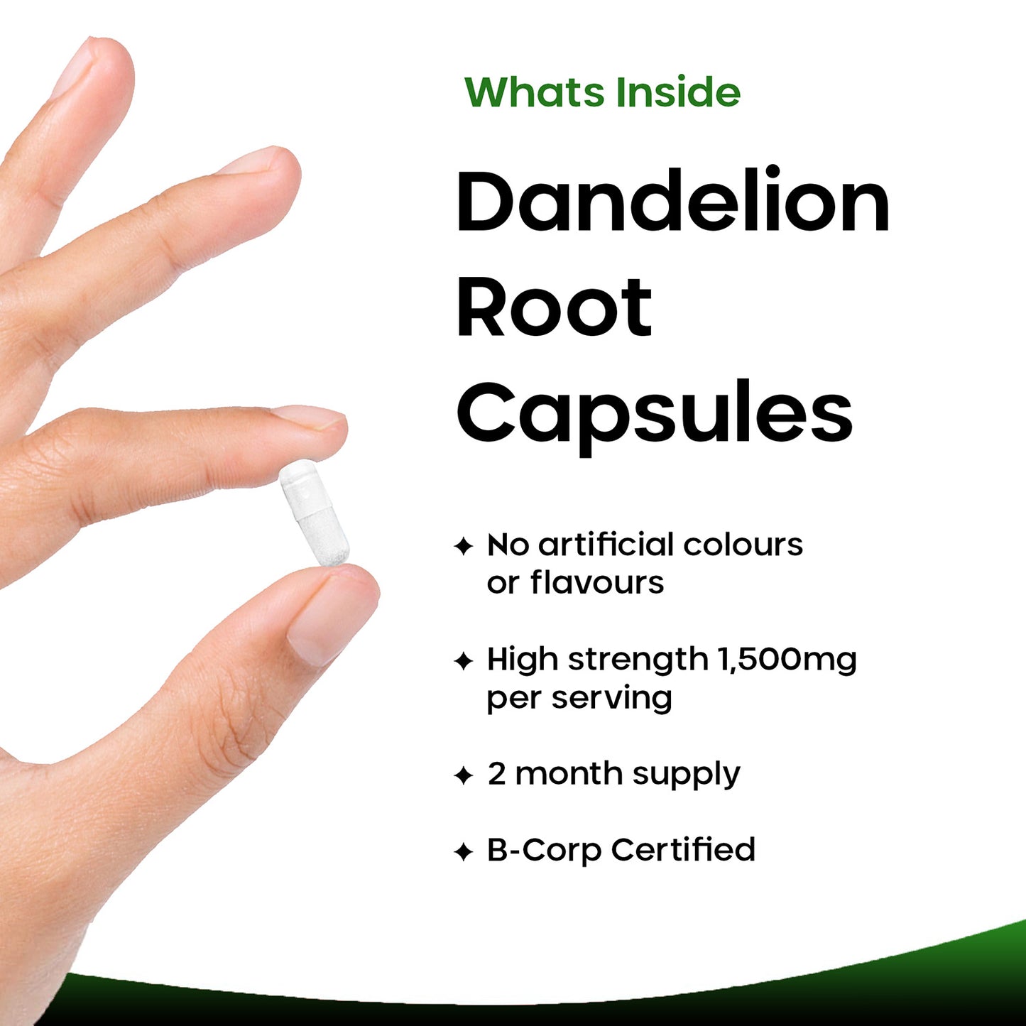 Dandelion Root Capsules