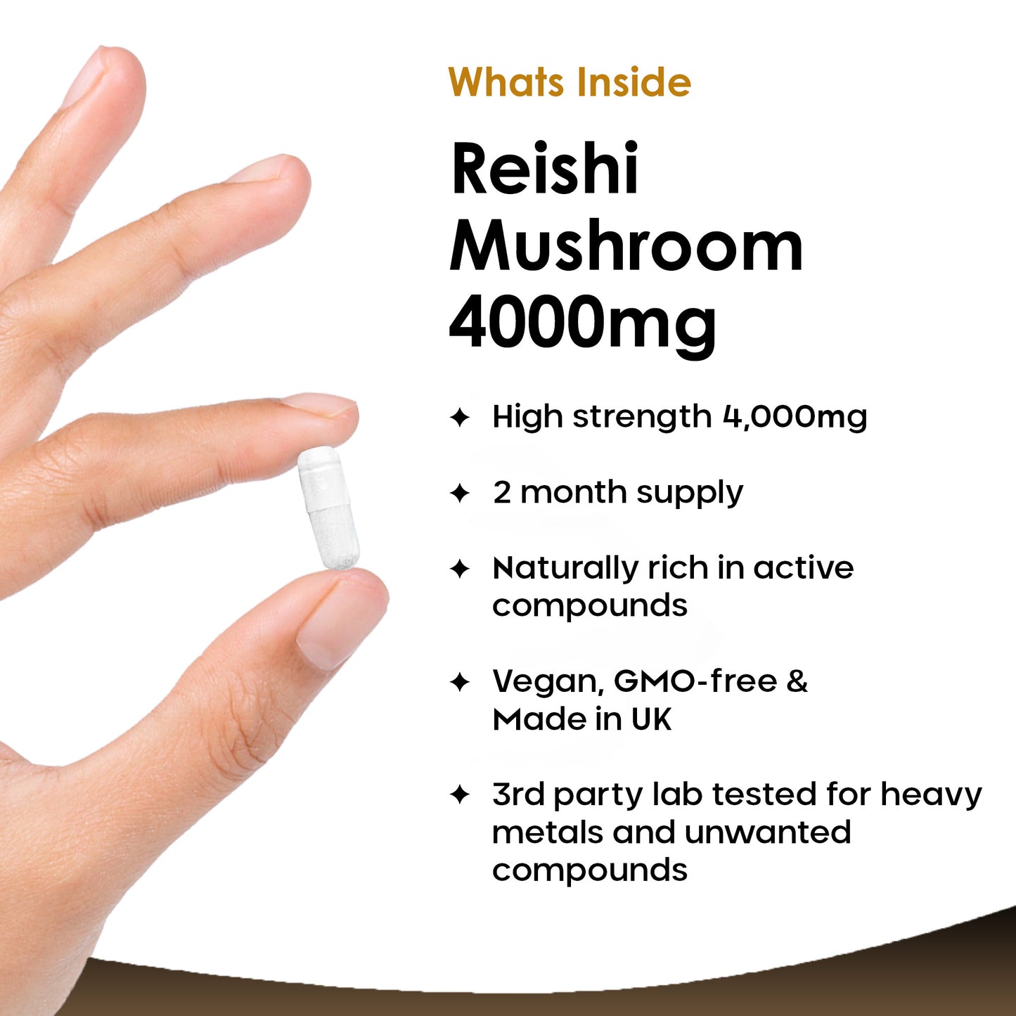 Reishi Mushroom Capsules