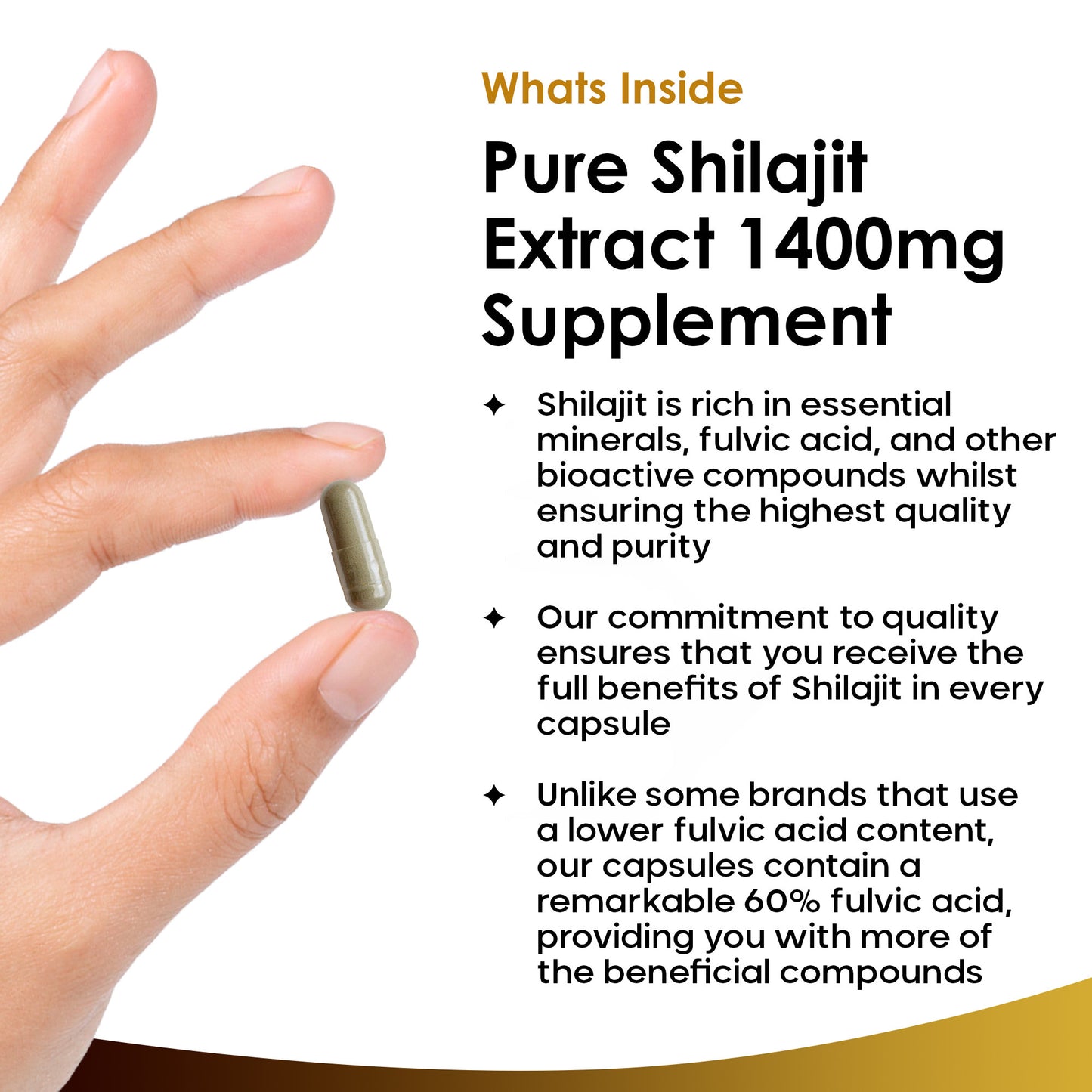 Shilajit Capsules