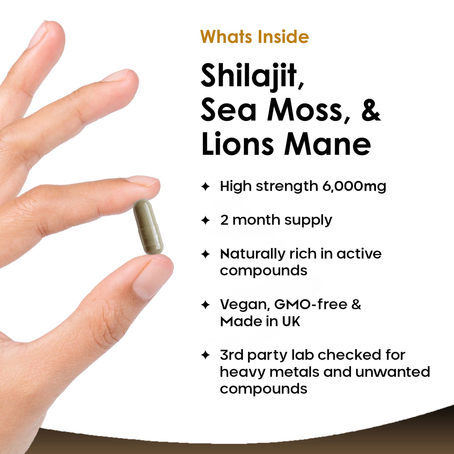 Shilajit, Sea Moss & Lions Mane Capsules - 120 High Strength 6000mg Capsules with 60% Fulvic Acid