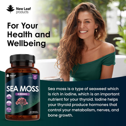 Sea Moss | 365 Tablets