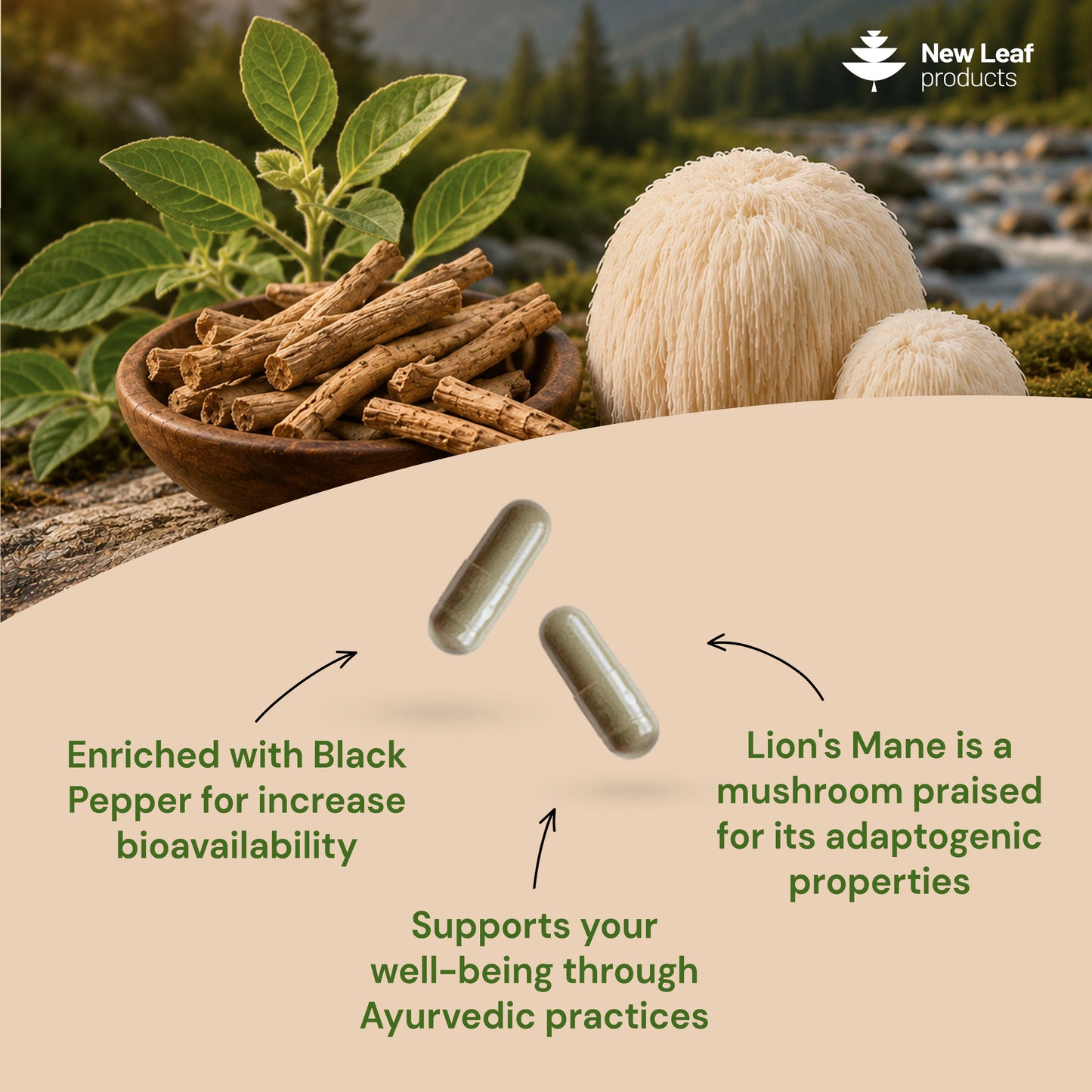 Ashwagandha Lions Mane Capsules