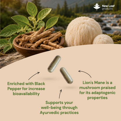 Ashwagandha Lions Mane Capsules