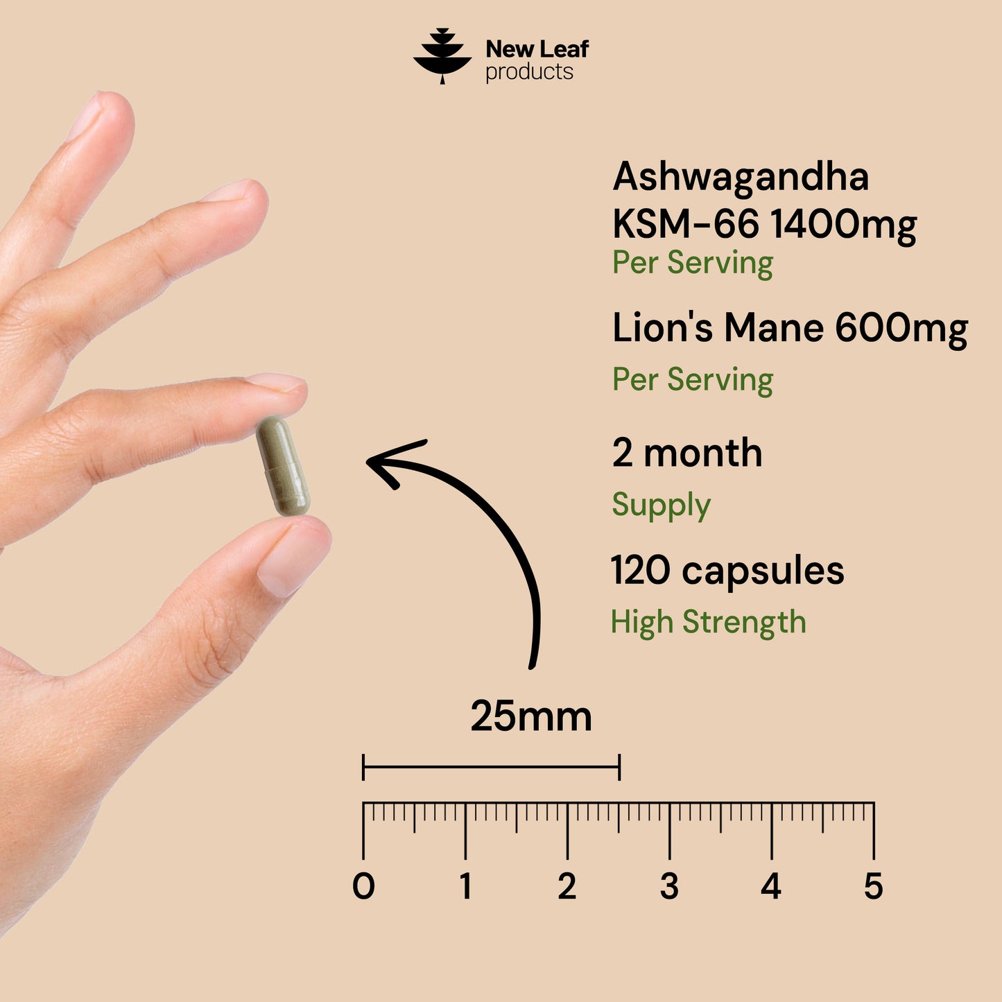 Ashwagandha Lions Mane Capsules