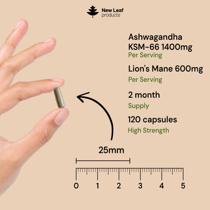 Ashwagandha Lions Mane Capsules