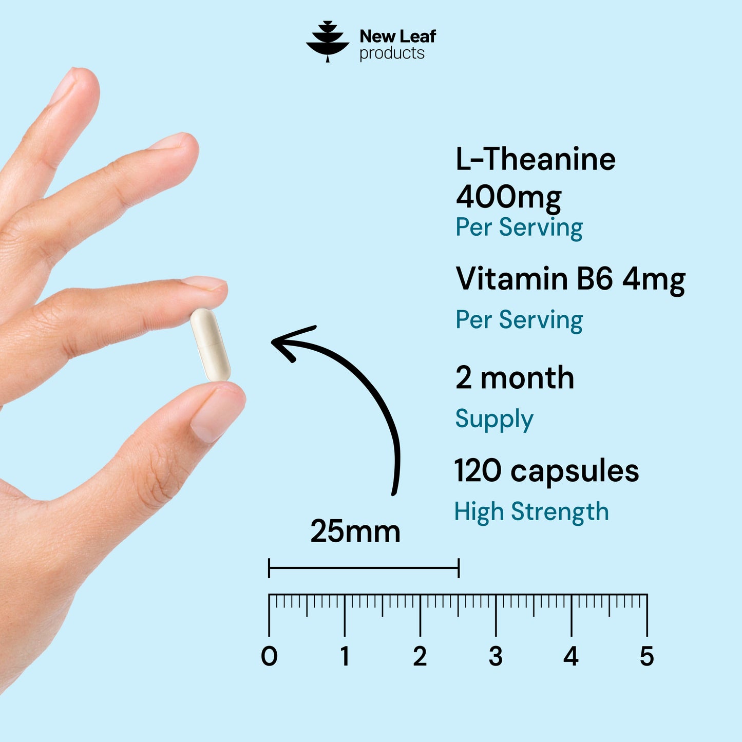 L-Theanine Capsules