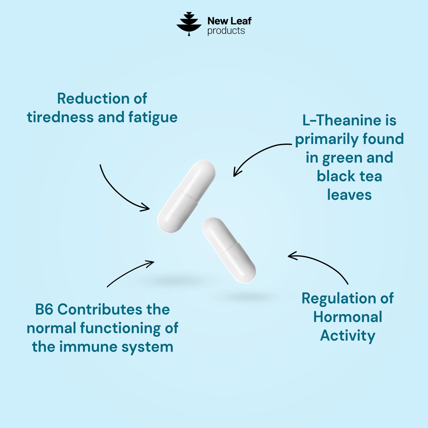 L-Theanine + Vitamin B6 | 360 Capsules