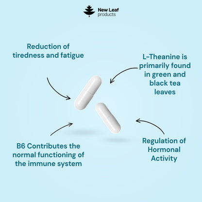 L-Theanine + Vitamin B6 | 360 Capsules