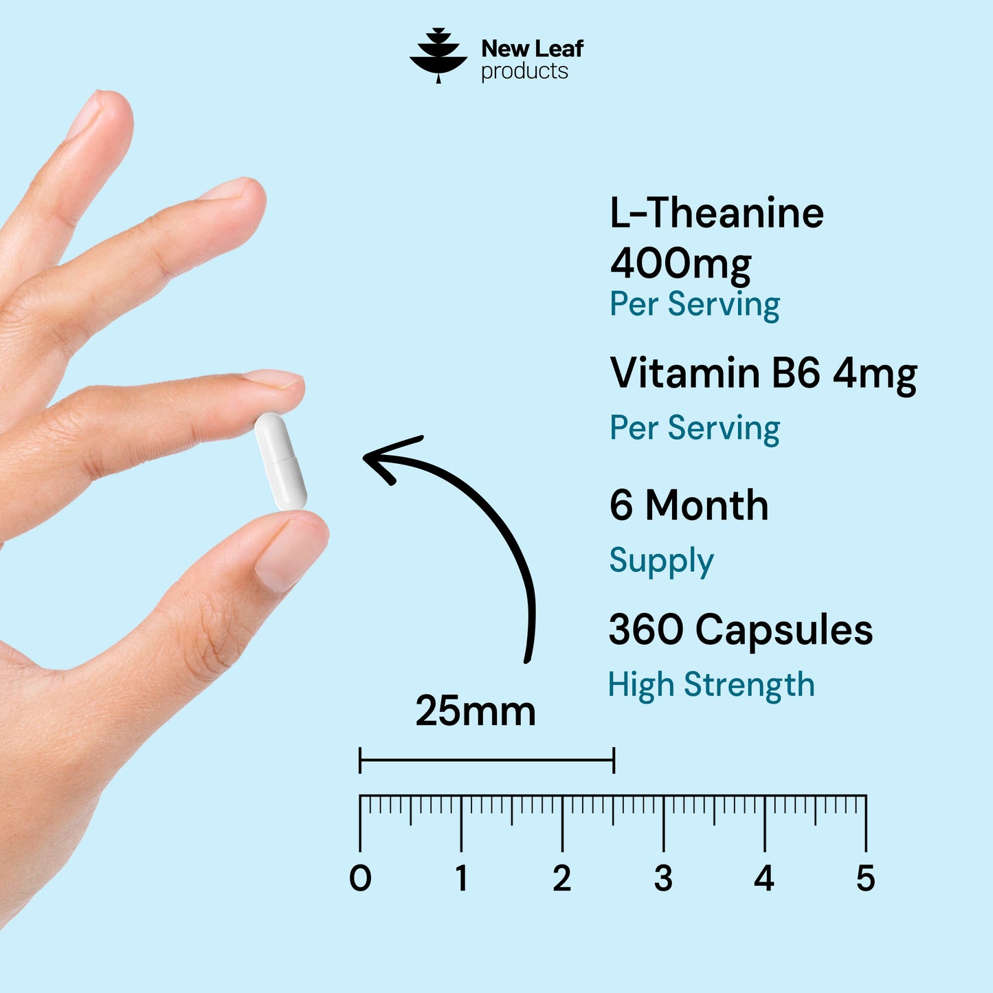 L-Theanine + Vitamin B6 | 360 Capsules