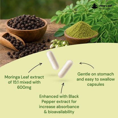 Moringa Leaf | 120 Capsules
