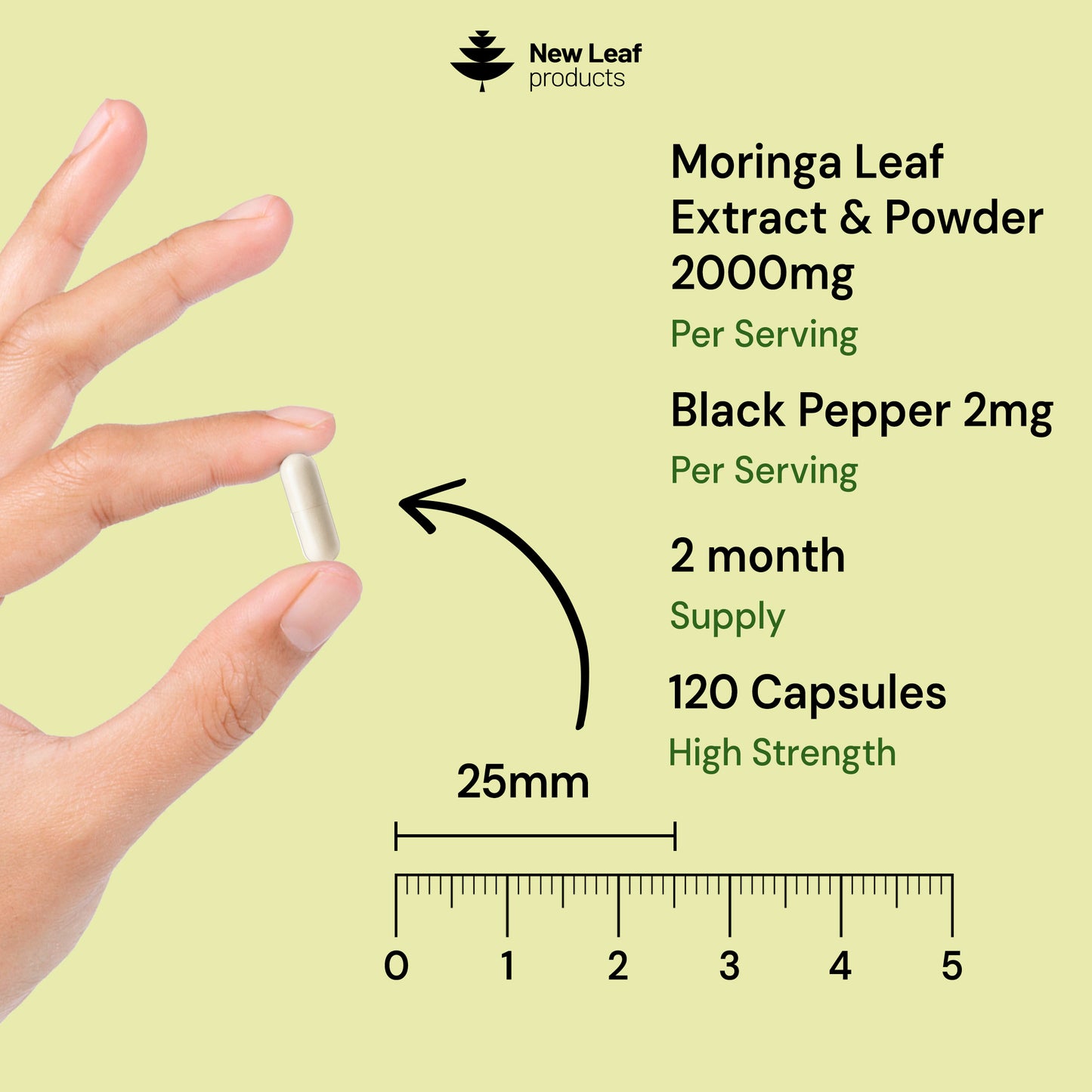 Moringa Leaf | 120 Capsules