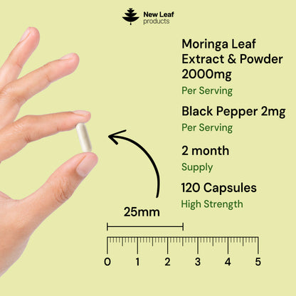 Moringa Leaf | 120 Capsules