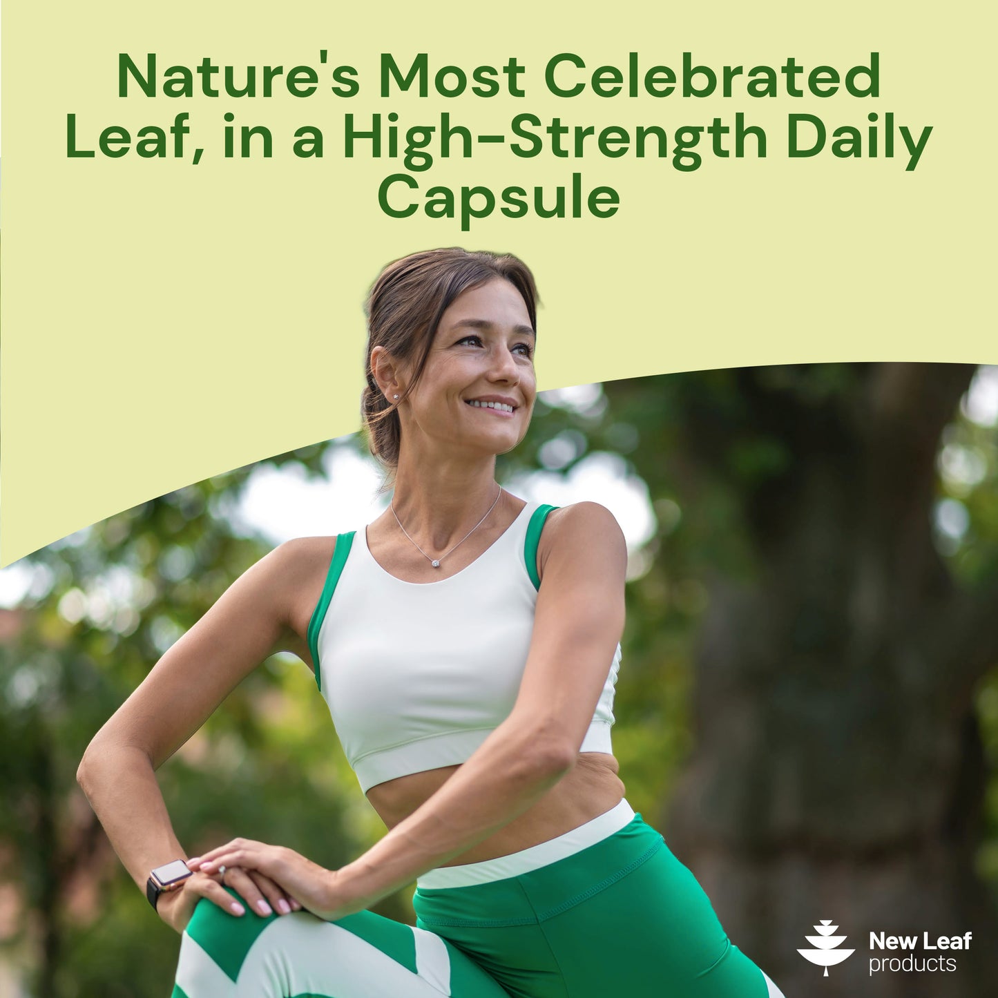 Moringa Leaf | 120 Capsules