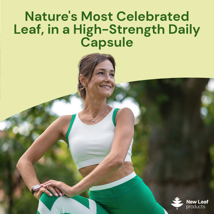 Moringa Leaf | 120 Capsules