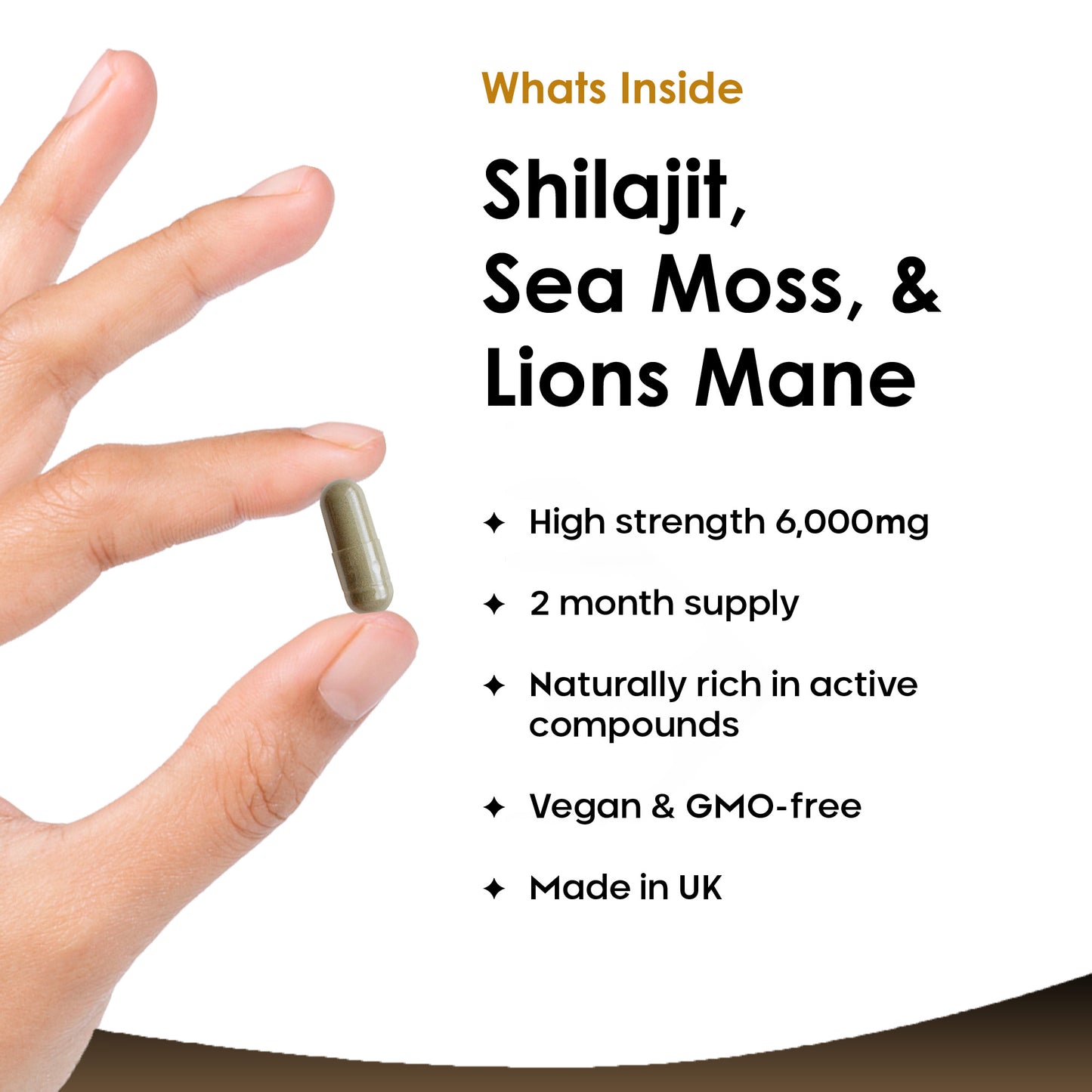 Shilajit, Sea Moss, Lion's Mane Capsules