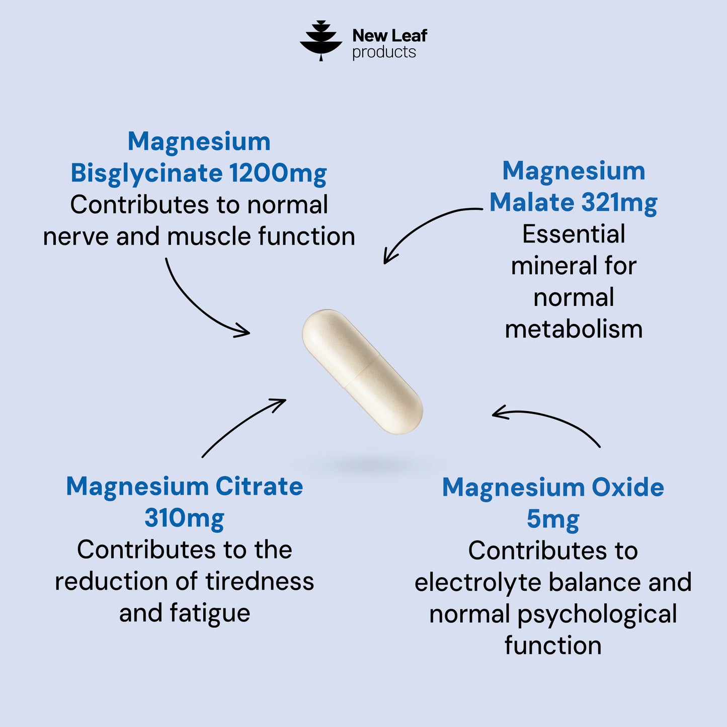 Magnesium 4-in-1 :Glycinate, Citrate, Malate, Oxide Capsules.