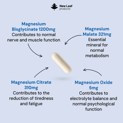 Magnesium 4-in-1 :Glycinate, Citrate, Malate, Oxide Capsules.