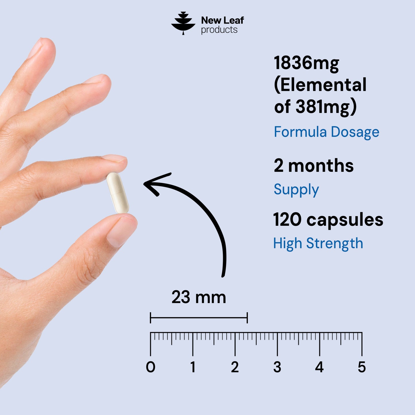 Magnesium 4-in-1 :Glycinate, Citrate, Malate, Oxide Capsules.