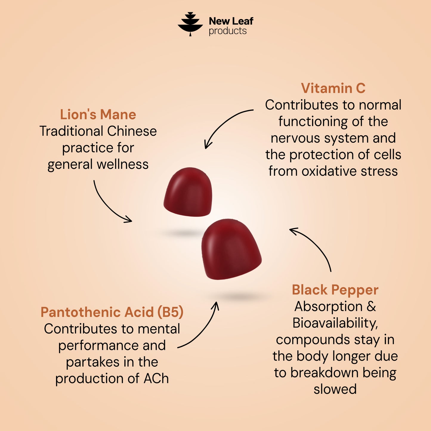 Lion's Mane Gummies + Vitamin C & B5