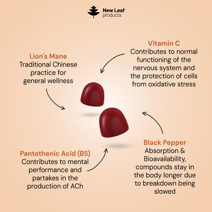Lion's Mane Gummies + Vitamin C & B5