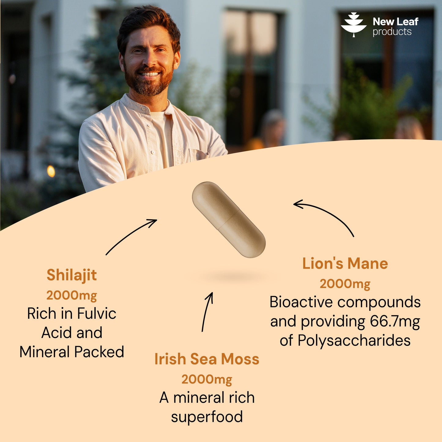 Shilajit, Sea Moss, Lion's Mane Capsules