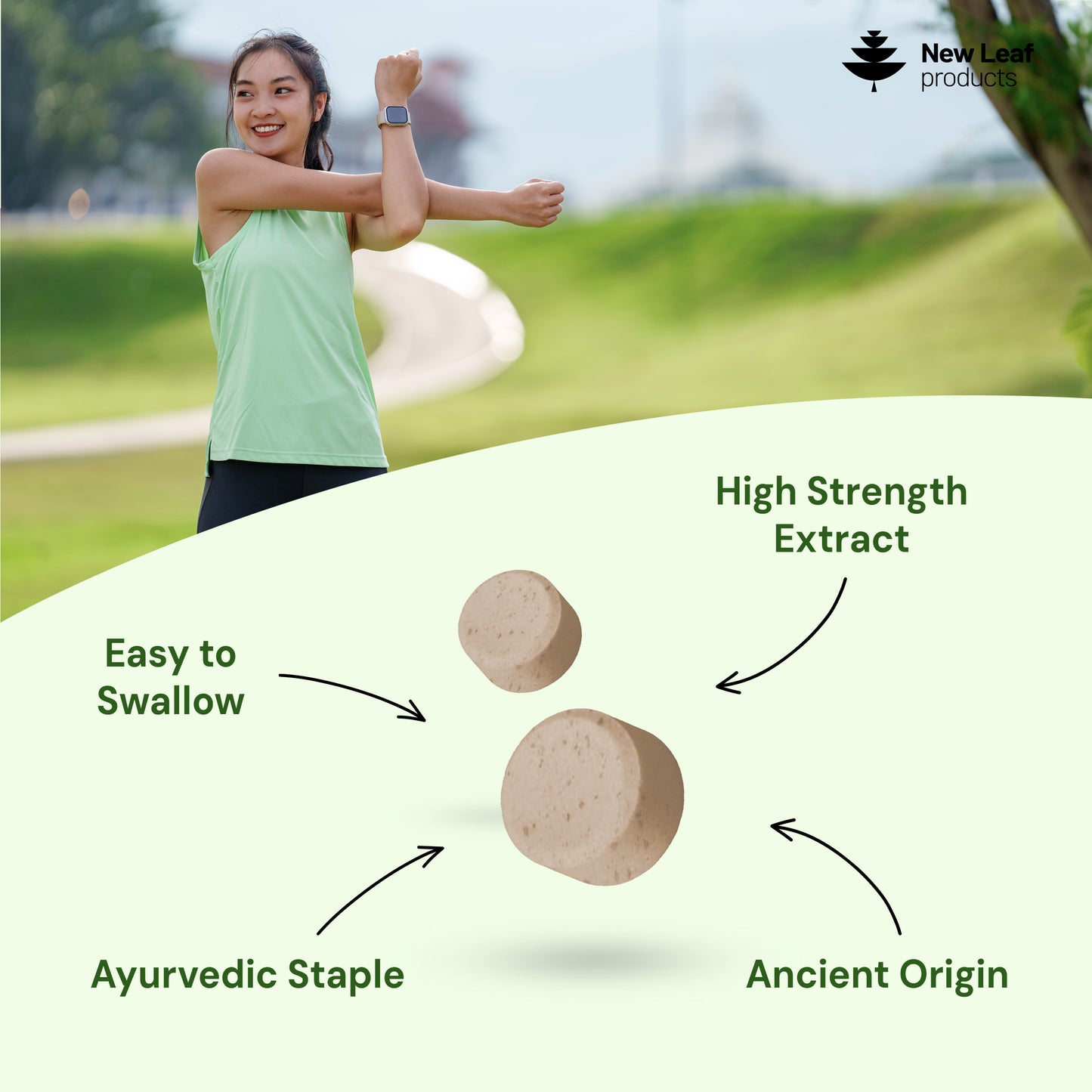 Ashwagandha KSM-66 | 365 Tablets