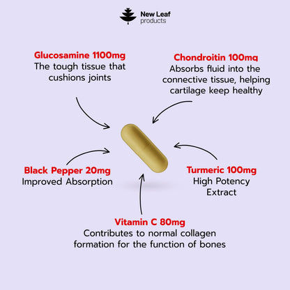 Glucosamine & Chondroitin | 120 Capsules