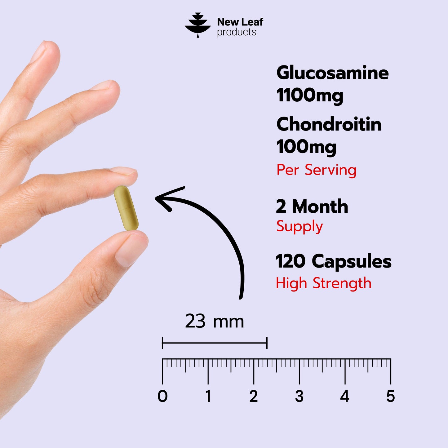 Glucosamine & Chondroitin | 120 Capsules