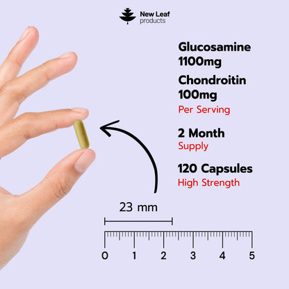 Glucosamine & Chondroitin | 120 Capsules