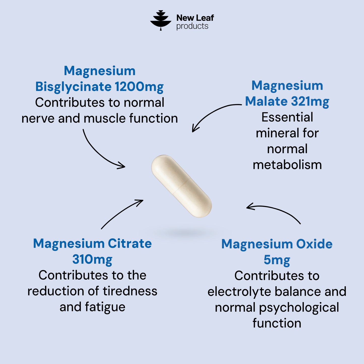 Magnesium 4in1 Complex | 360 Capsules