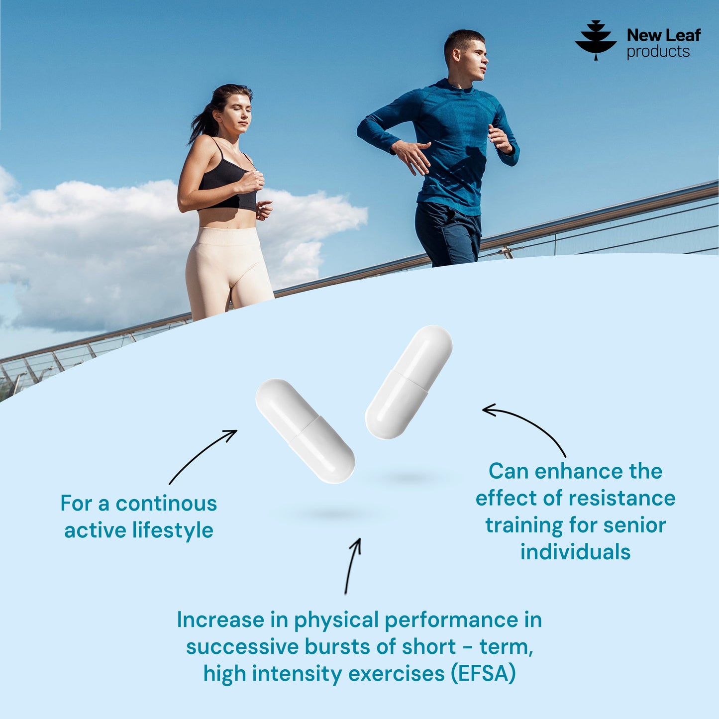 Creatine Monohydrate Capsules