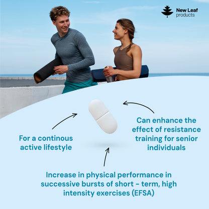 Creatine Monohydrate | 360 Tablets