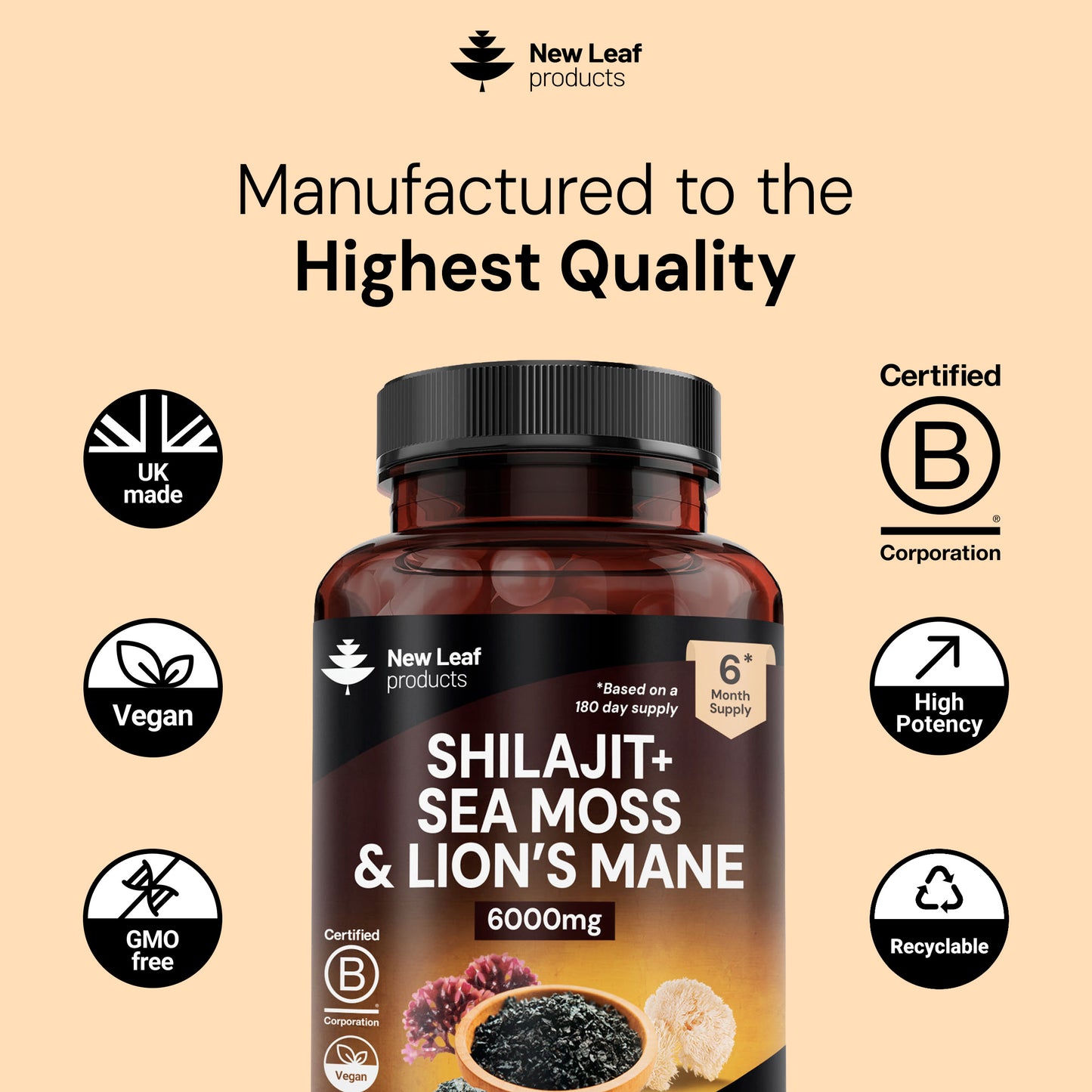 Shilajit, Sea Moss & Lion's Mane | 360 Capsules