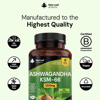 Ashwagandha KSM 66 Tablets 365 Fill