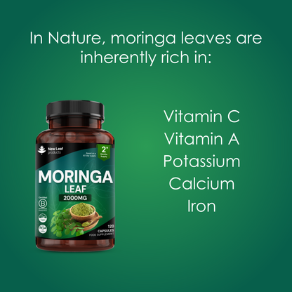 Bottle of New Leaf Moringa Leaf supplement on a white background

