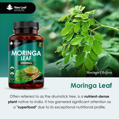 Moringa Leaf Capsules - High Strength 2000mg Pure Moringa Extract & Powder - 120 Vegan Capsules