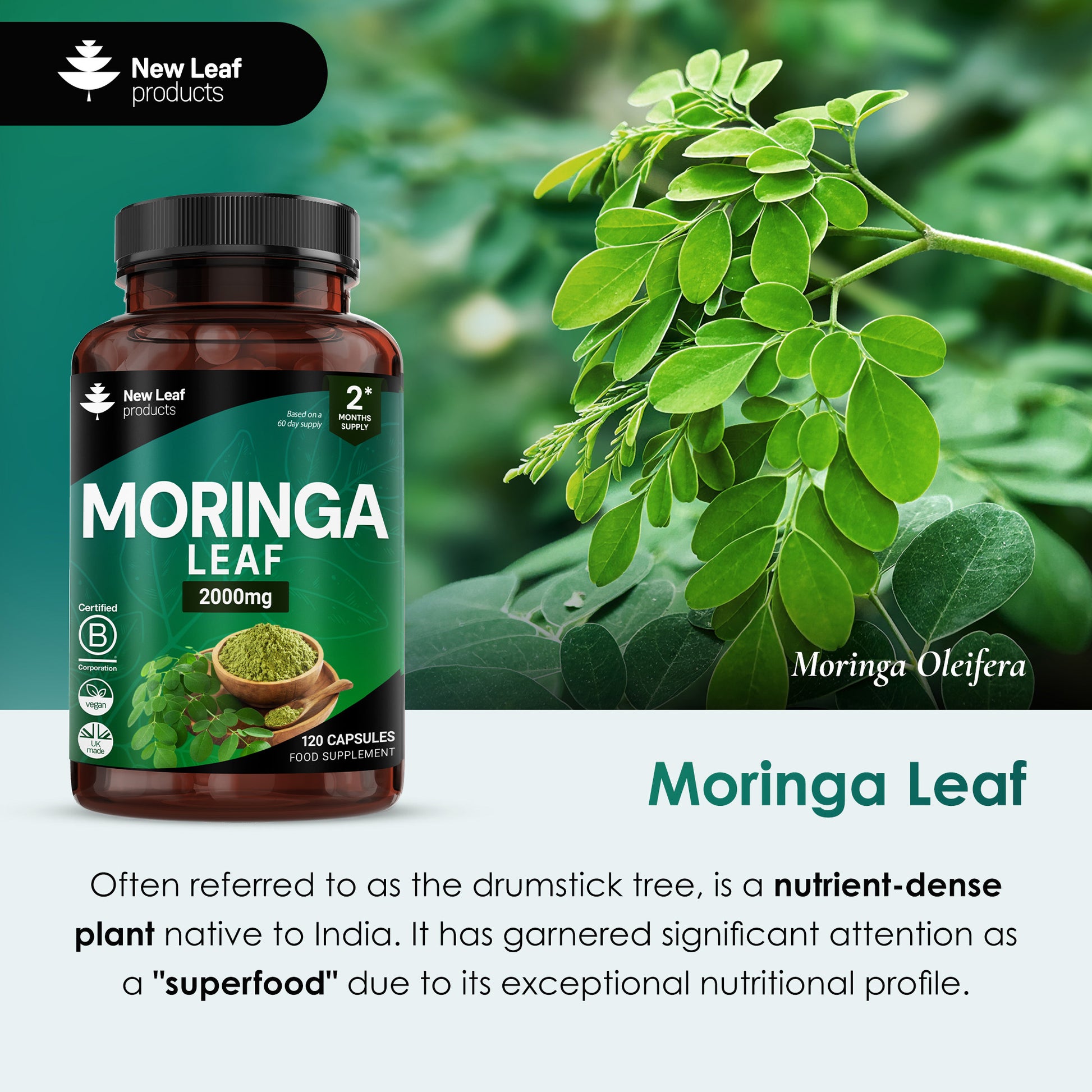 Moringa leaf supplement bottle with Moringa Oleifera plant on a green background