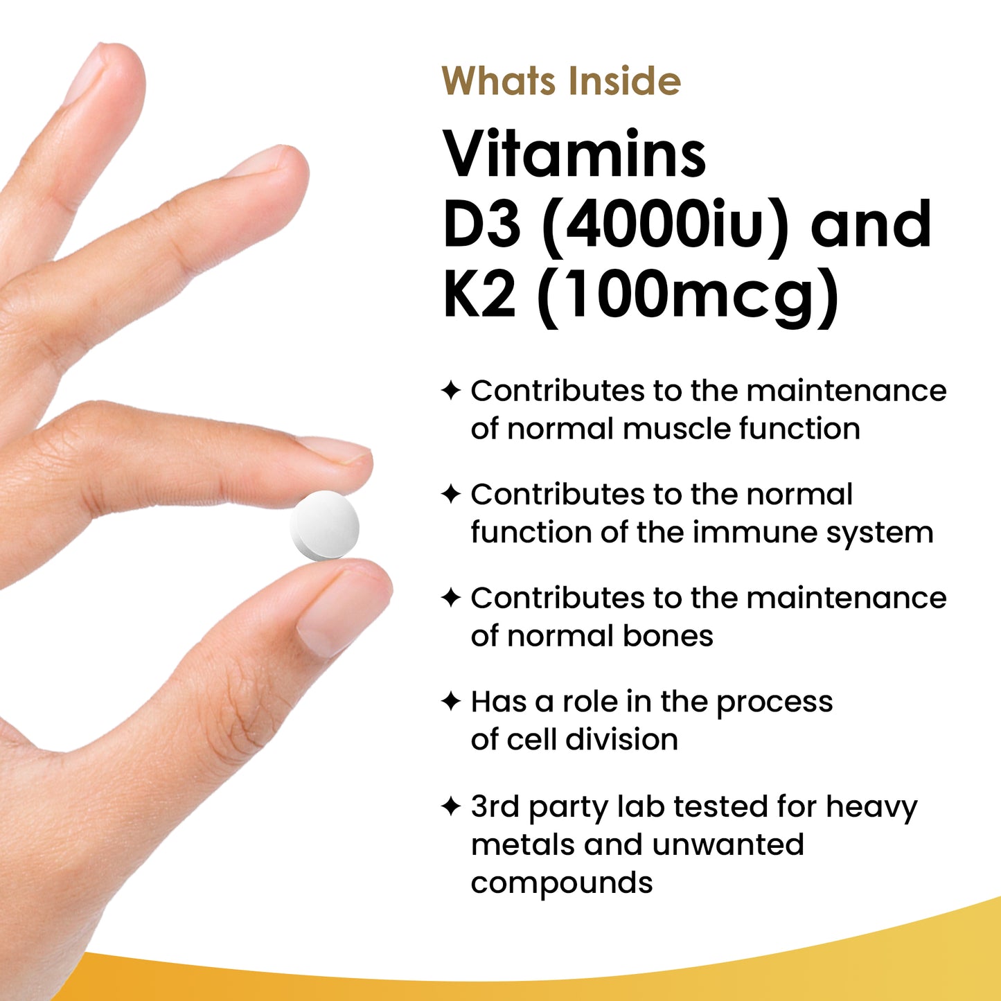 Vitamin D3 & K2 | 365 Tablets