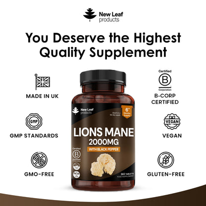 Lion's Mane | 365 Tablets