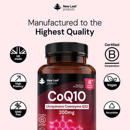CoQ10 Ubiquinone Coenzyme Q10 | 360 Capsules