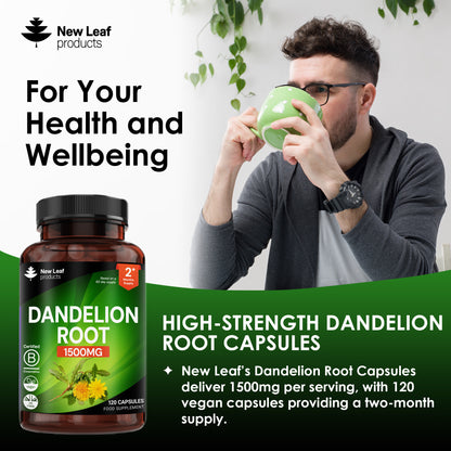 Dandelion Root Capsules