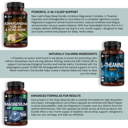 The Deep Sleep Bundle: Magnesium Complex + L-Theanine + Ashwagandha & Lions Mane (Non-Melatonin)