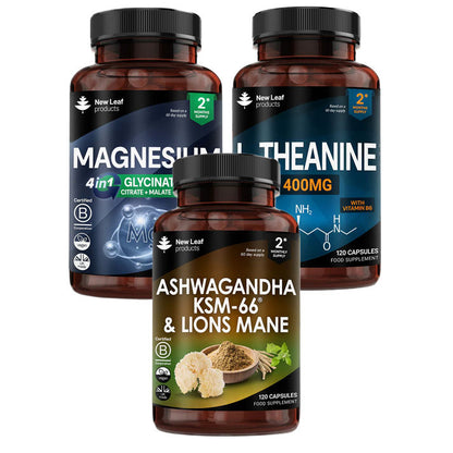 The Deep Sleep Bundle: Magnesium Complex + L-Theanine + Ashwagandha & Lions Mane (Non-Melatonin)