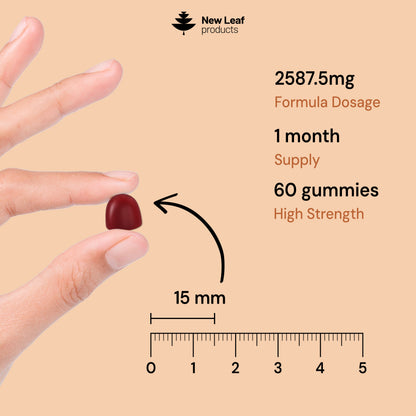 Lion's Mane Gummies + Vitamin C & B5