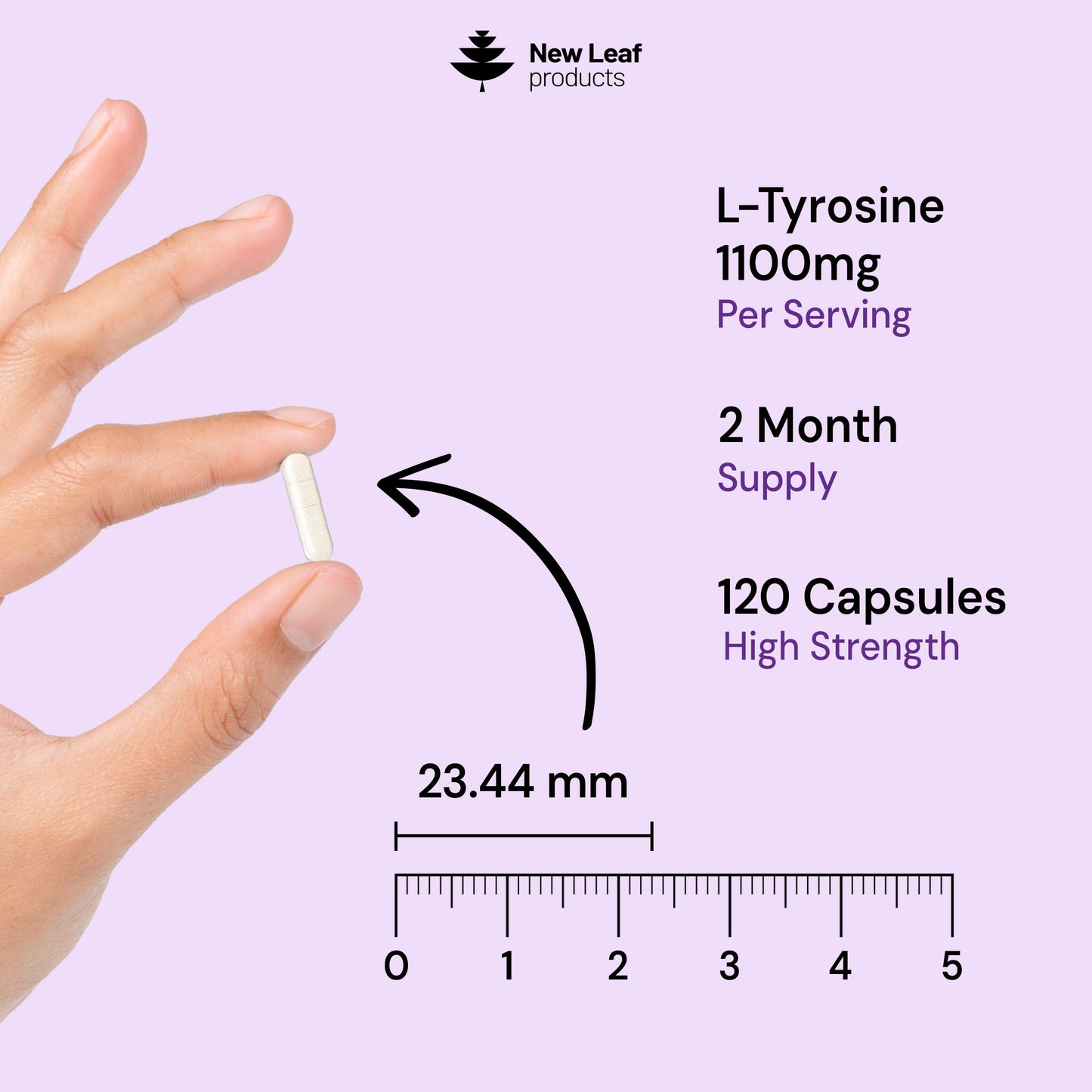 L-Tyrosine | 120 Capsules