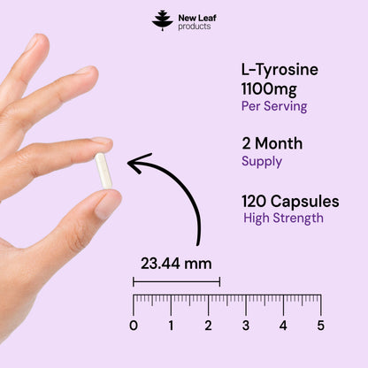 L-Tyrosine | 120 Capsules