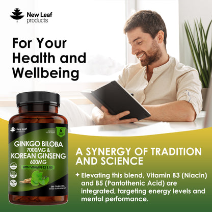 Ginkgo Biloba & Korean Ginseng + Vitamin B3 & B5 | 360 Tablets