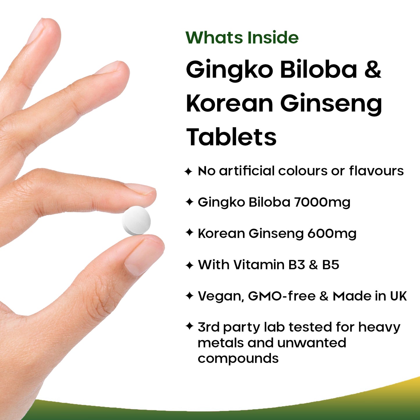 Ginkgo Biloba & Korean Ginseng + Vitamin B3 & B5 | 360 Tablets
