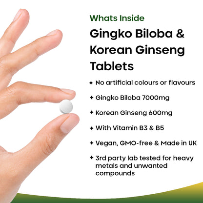 Ginkgo Biloba & Korean Ginseng + Vitamin B3 & B5 | 360 Tablets