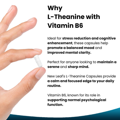 L-Theanine with Vitamin B6 High Strength Supplement Capsules